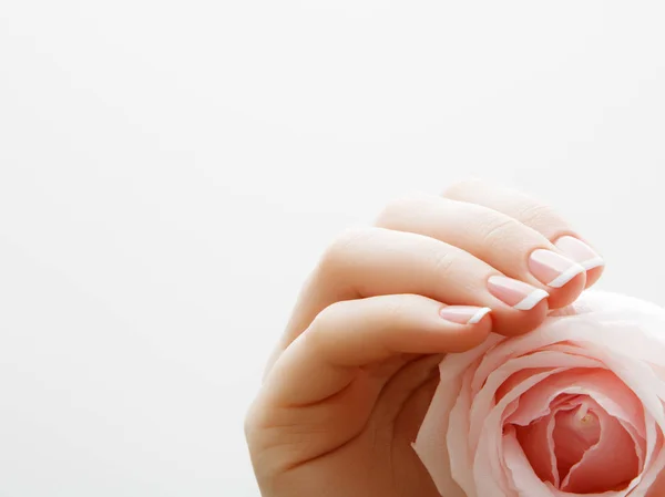 Enfoque selectivo suave. Cuidado de uñas de belleza. Manos delicadas con manicura francesa sosteniendo unos pétalos rosados de cerca sobre fondo de flores. Hermosas uñas de cerca, gran idea para la publicidad de los cosméticos — Foto de Stock