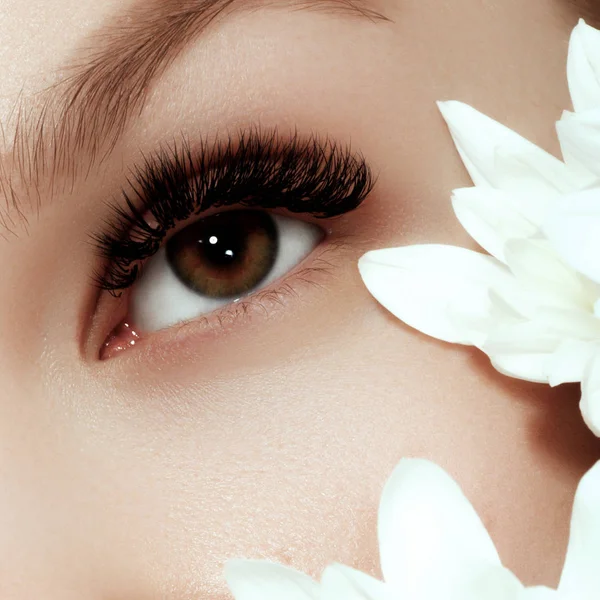 Menina bonita com Flowers.Beauty Model Woman Face. Pele perfeita. Maquiagem profissional. Makeup. Arte da moda — Fotografia de Stock