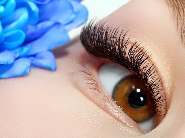 Beautiful macro shot of female eye with extreme long eyelashes . Perfect shape make-up and long lashes. Cosmetics and make-up. Closeup macro shot of fashion eyes visage — Stock Photo, Image