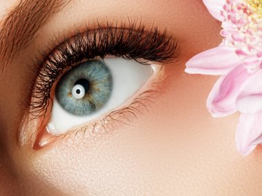 Aşırı uzun kirpiklerini gözle güzel makro çekim. Mükemmel bir şekil kaşları ile kadın göz makro yakın çekim. Temiz cilt, moda doğal makyaj. İyi vizyon. Bahar çiçekleri ile doğal bir görünüm