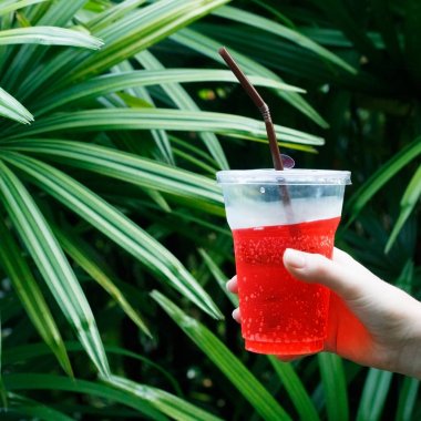 Freshening meyve kokteyli. Oteldeki tropikal kokteyl serinletici. Beach Tatil. Ormanın yeşillik