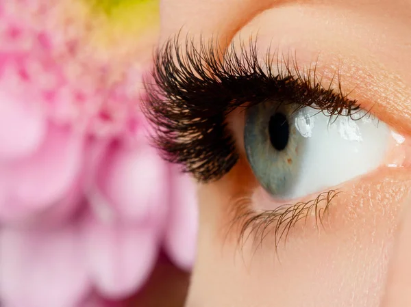 Hermoso macroplano de ojo con pestañas largas extremas. Primer plano macro de ojo femenino con cejas de forma perfecta. Piel limpia, maquillaje natural de moda. Buena visión. Aspecto natural primavera con flores — Foto de Stock