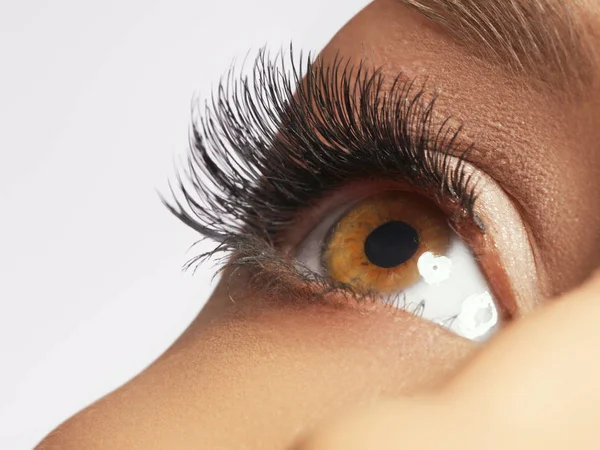 Hermosa macrofotografía de ojo femenino con pestañas largas extremas y maquillaje negro. Maquillaje de forma perfecta y pestañas largas. Cosméticos y maquillaje. Primer plano macro disparo de moda ojos visage — Foto de Stock