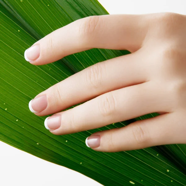 Mãos de Mulher Bonitas. Conceito de Spa e Manicure. Mãos femininas com manicura francesa. Pele macia, conceito de cuidados da pele. Unhas bonitas. sobre fundo bege — Fotografia de Stock