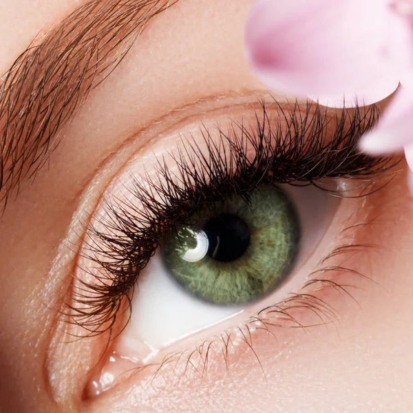 Hermoso macroplano de ojo femenino con pestañas largas extremas y maquillaje natural. Maquillaje de forma perfecta y pestañas largas. Cosméticos y maquillaje. Primer plano macro disparo de moda ojos visage — Foto de Stock