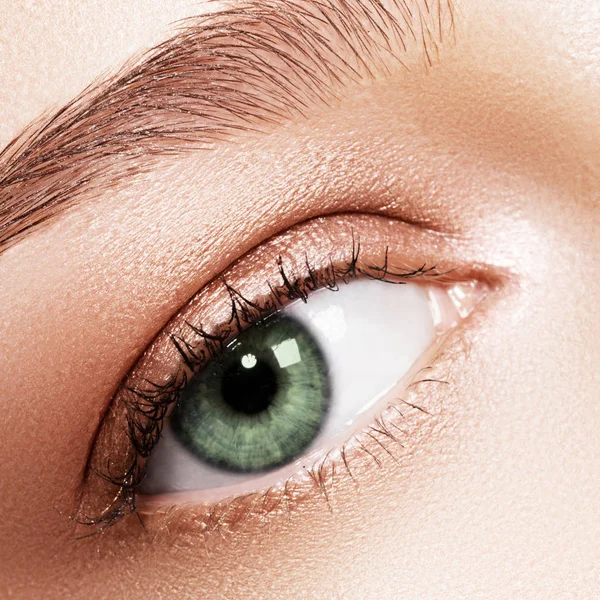 Hermoso macroplano de ojo femenino con pestañas largas extremas y maquillaje natural. Maquillaje de forma perfecta y pestañas largas. Cosméticos y maquillaje. Primer plano macro disparo de moda ojos visage — Foto de Stock