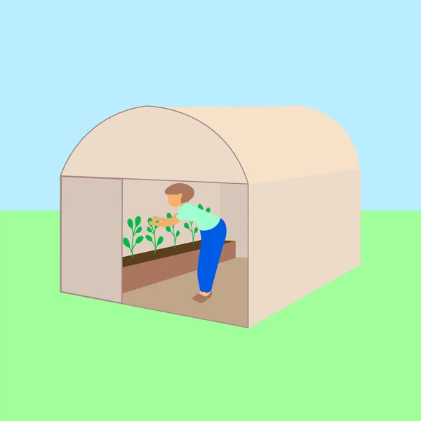 Uma mulher cuida das plantas numa estufa. Ilustração vetorial . — Vetor de Stock