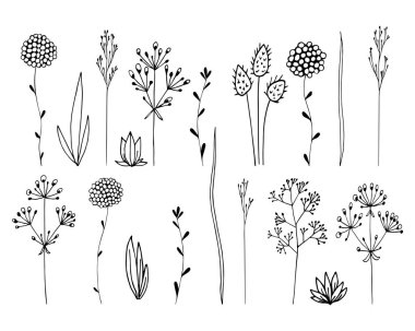 El çizimi vektör çizimi. Basit çiçekler, çimenler, dallar. Beyaz arkaplanda siyah çizgiler, skeç, Doodle tarzı.