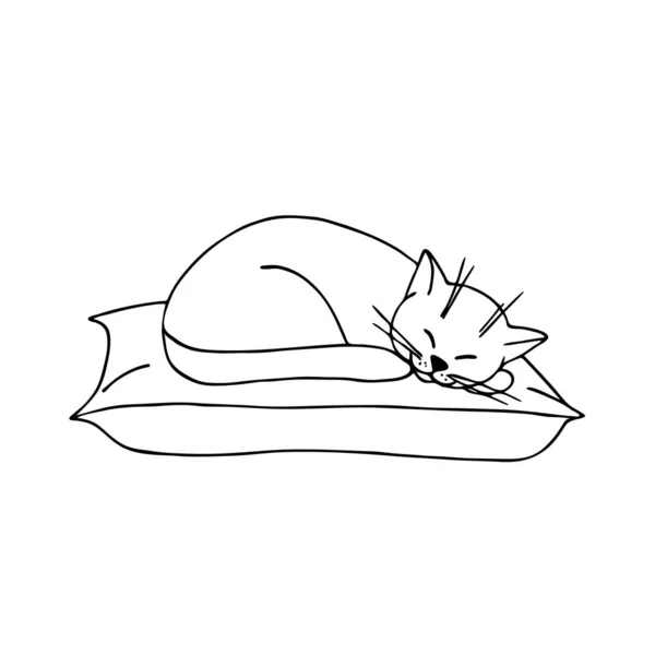 Vettore disegnato a mano. Carino gatto dorme e sorride . — Vettoriale Stock