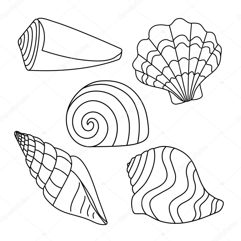Vector illustration. Set with simple shell silhouettes. Drawing of black lines on a white background, Doodle. 