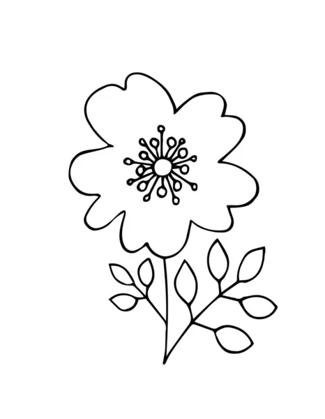 Desenhos simples de flor, folhas, doodle . — Vetor de Stock