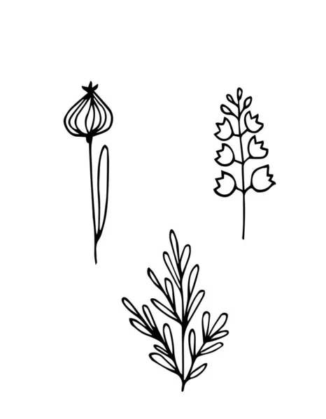 Hand drawn vector illustration. Set of simple flowers, grass, twigs. — Stock Vector