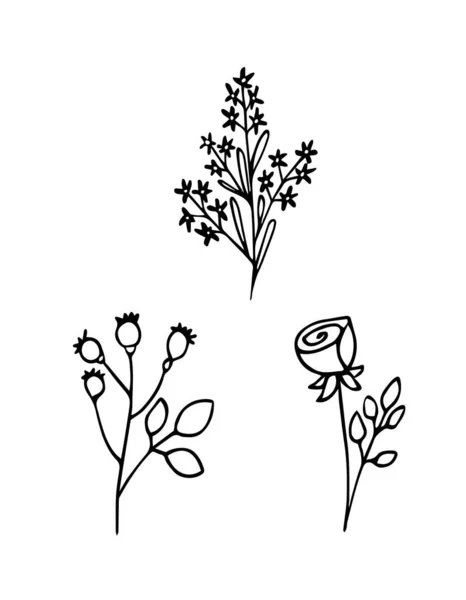 Χειροποίητη διανυσματική απεικόνιση. Σετ από απλά λουλούδια, γρασίδι, κλαδιά. — Διανυσματικό Αρχείο