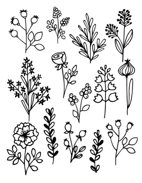 Illustrazione vettoriale disegnata a mano. Set di fiori semplici, erba, ramoscelli . — Vettoriale Stock