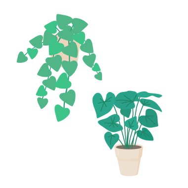 Açık bej bir tencerede kapalı bir bitki. 