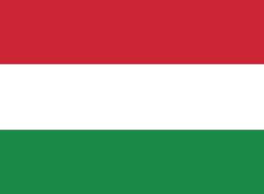 Flag of Hungary  background clipart