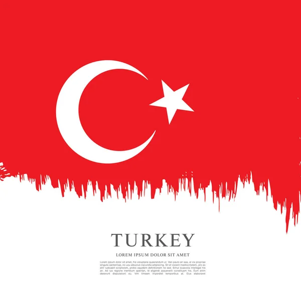 Türkiye bayrağı — Stok Vektör