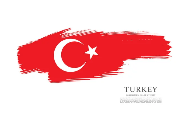 Türkiye bayrağı — Stok Vektör