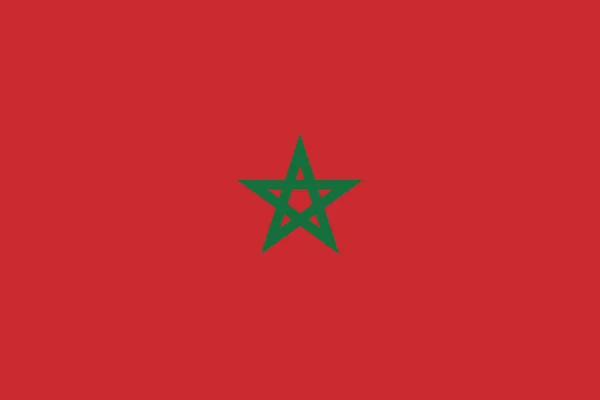 Morocco flag layout — Stock Vector