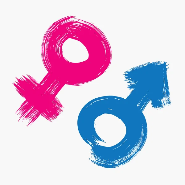 ブラシで描画された性別記号 — ストックベクタ