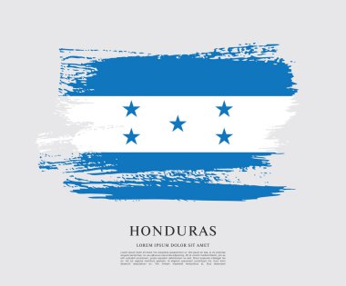 Honduras bayrağı düzeni