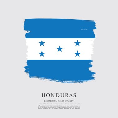 Honduras bayrağı düzeni