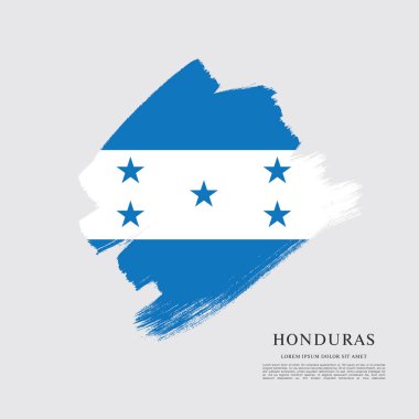 Honduras bayrağı düzeni