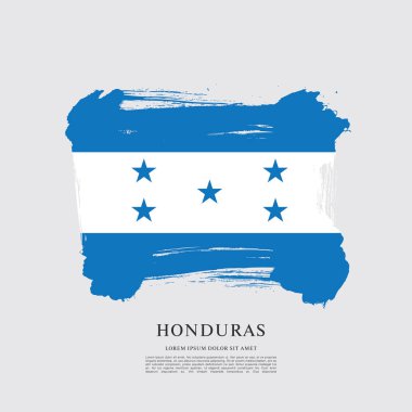 Honduras bayrağı düzeni