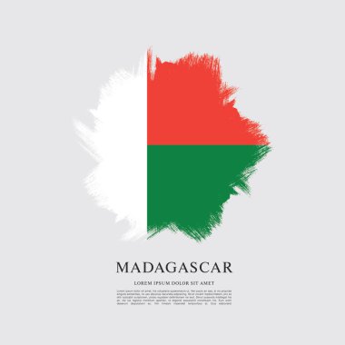 Madagaskar bayrağı düzeni