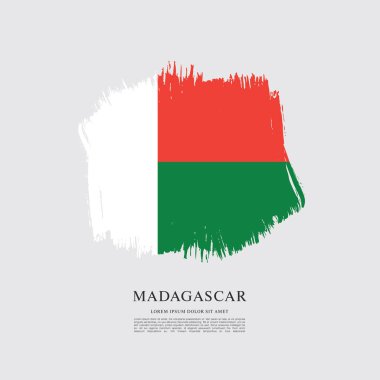 Madagaskar bayrağı düzeni