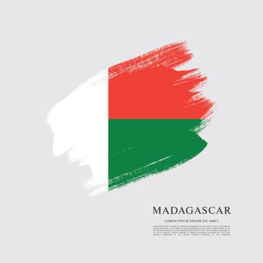 Madagaskar bayrağı düzeni