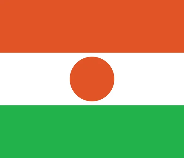 Flagge mit nigerianischem Hintergrund — Stockvektor