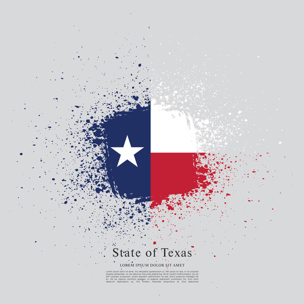 Flag of Texas. United States of America