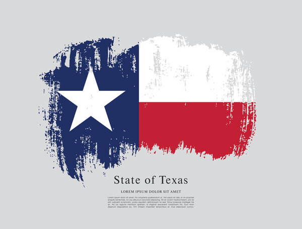 Flag of Texas. United States of America