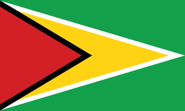 ガイアナの旗の背景 — ストックベクタ