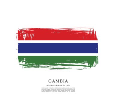 Gambiya Cumhuriyeti bayrağı ile doku
