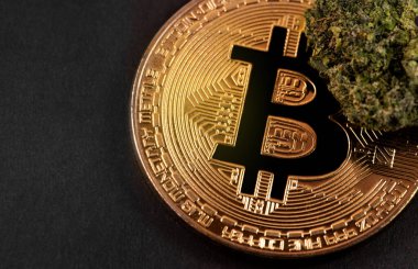 Tıbbi marihuana, bitcoin, kripto para makrosu, yakın çekim