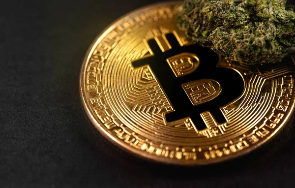 Medizinisches Marihuana, Cannabis-Knospe und Bitcoin-Symbol, Kryptowährung Makro, Nahaufnahme — Stockbild Medizinisches Marihuana Cannabis Knospe Und Bitcoin Symbol Kryptowährung Makro Nahaufnahme — Stockfoto