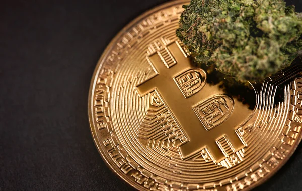 Medizinisches Marihuana, Cannabis-Knospe und Bitcoin, Kryptowährung Makro, Nahaufnahme — Stockbild Medizinisches Marihuana Cannabis Knospe Und Bitcoin Kryptowährung Makro Nahaufnahme — Stockfoto
