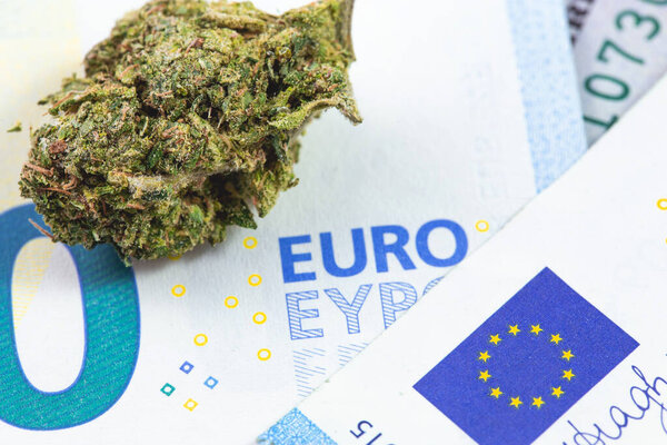 medical marijuana, cannabis bud and euro banknotes macro, closeup