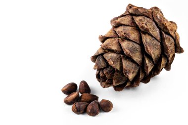 Sedir konisi, pinus sibirica fındığı beyaz arka planda izole edilmiş.