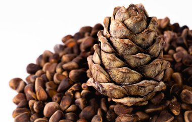 Fındıklı sedir konileri Pinus sibirica yakın çekim makrosu