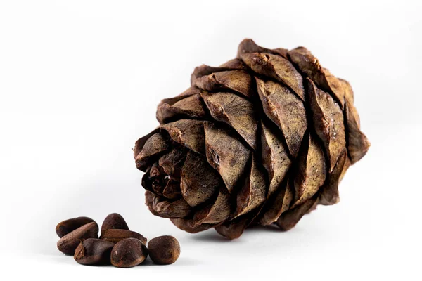 One Cedar Cone Pinus Sibirica Nuts White Background Royalty Free Stock Images