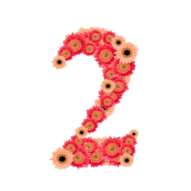 Metin çiçek tarafından düzenlenmiştir