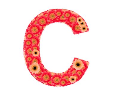 Metin çiçek tarafından düzenlenmiştir