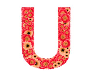 Metin çiçek tarafından düzenlenmiştir