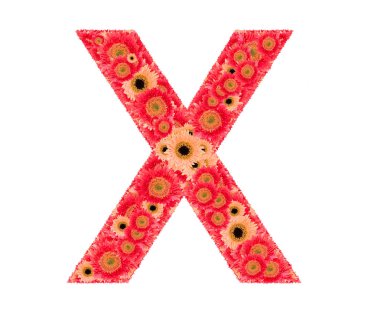 Metin çiçek tarafından düzenlenmiştir