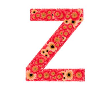 Metin çiçek tarafından düzenlenmiştir