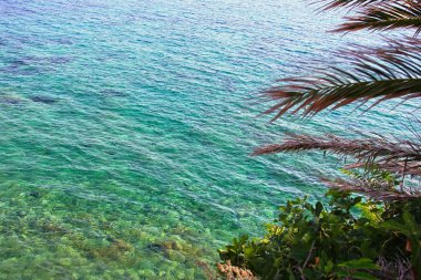 deniz suyu, üstten görünüm kıyıya temizleyin