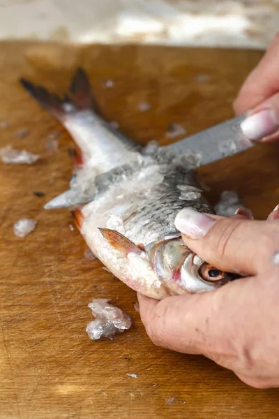 Limpieza de pescado fresco en las escamas, la preparación de pescado dishe — Foto de Stock